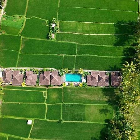 Intan Villa & Suite Ubud מראה חיצוני תמונה