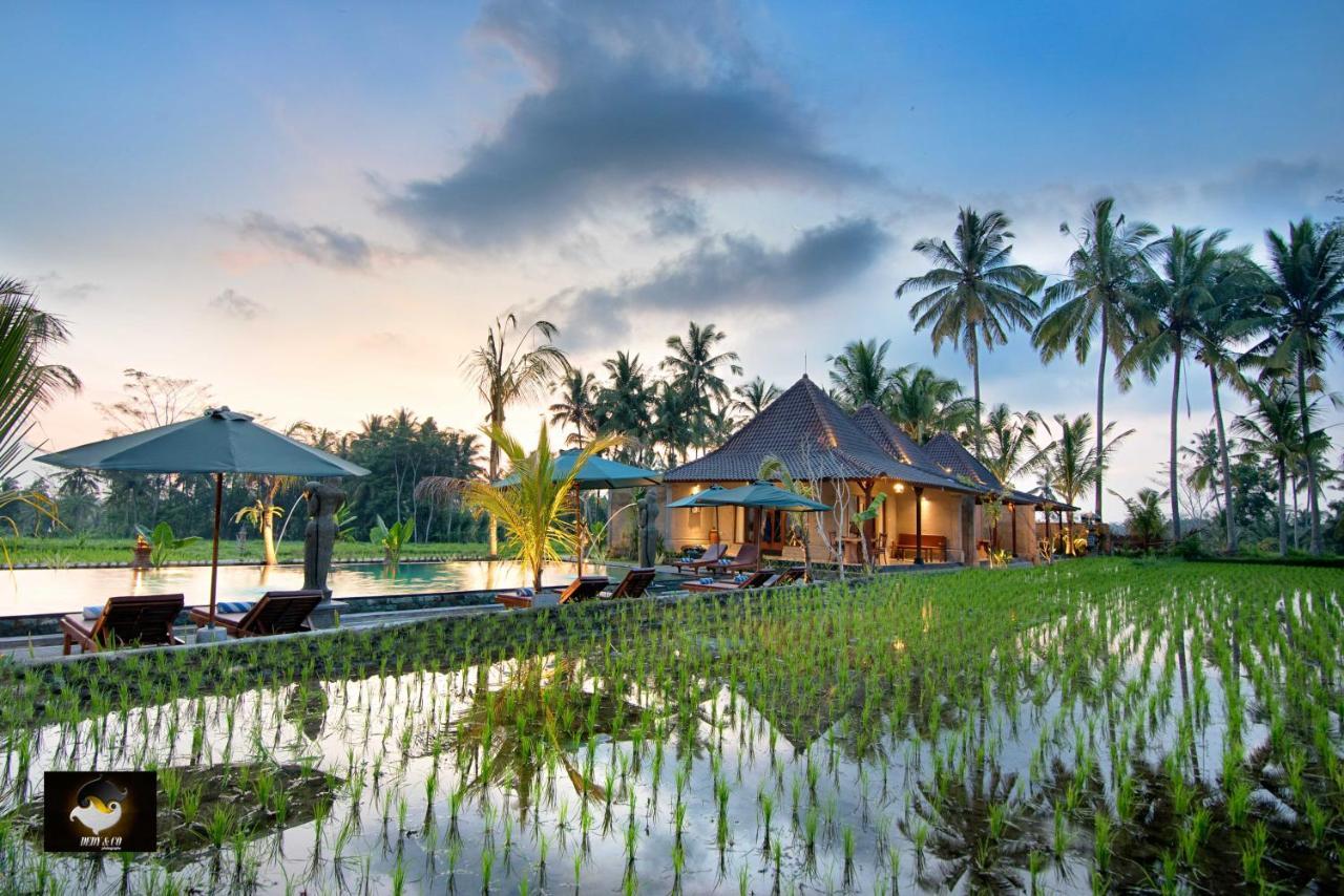 Intan Villa & Suite Ubud מראה חיצוני תמונה